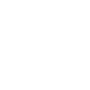 ALV