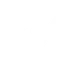 CVE