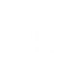DHI