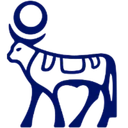 NVO