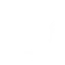 RACE