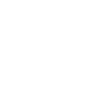 STT