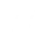 WSM