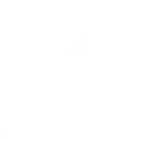 ZION